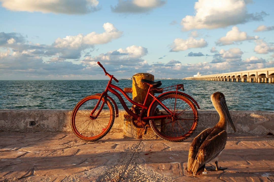 Pelican-bicycle vs Alternatives: Best Static Site Generators 2026
