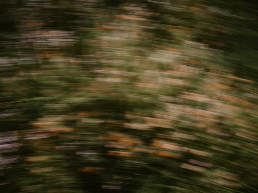 Implementing Radial Motion Blur with Python OpenCV: A Complete Guide (2026)