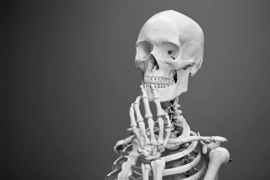 Anatomy vs Blender: Which Illustration Tool to Choose in 2026?