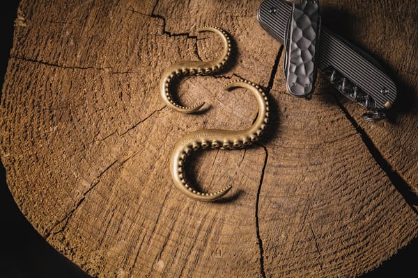 Convert Python datetime.timedelta to Years: A Complete Guide (2026)