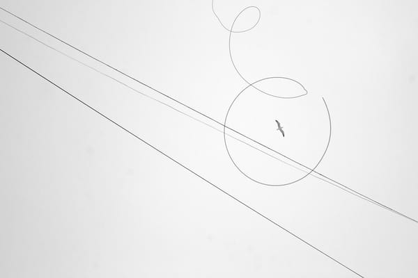 Find Adjacent Lines on a 3D Grid in Python: A Step-by-Step Guide (2026)