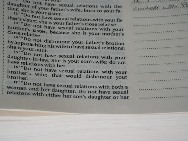 Goutoujunshi vs Alternatives: Best Relationship Codex in 2026?