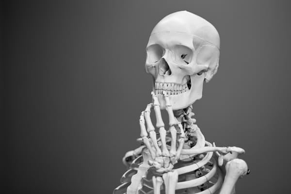 Anatomy vs Alternatives: Best 3D Anatomy Explorer in 2026?