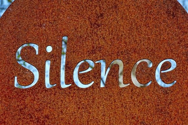 Investigating Silent os.rename() Failures with Samba in Python (2026)