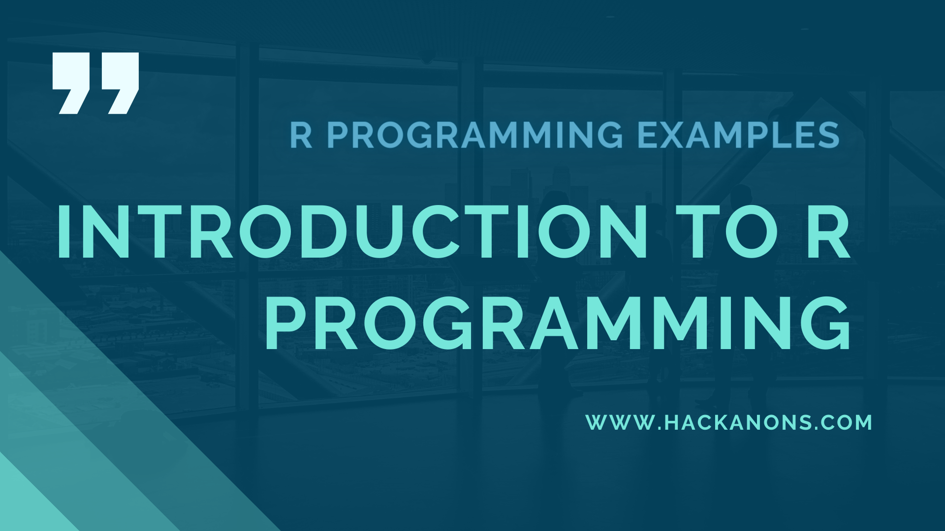 r programming examples