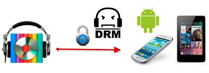 What is DRM Reset
