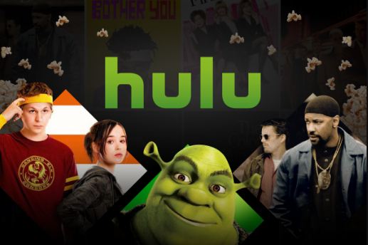 Hulu Captcha Not Working 
