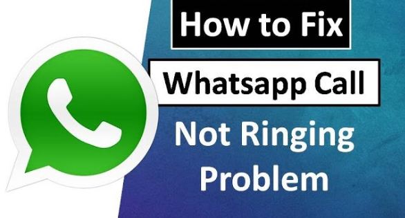 WhatsApp Calls Not Ringing