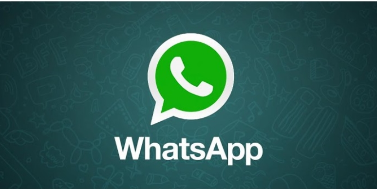 How to Mention All in WhatsApp Group