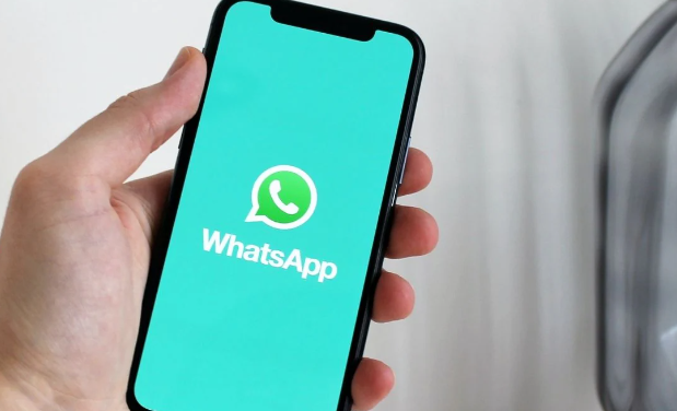 How to Mention All in WhatsApp Group?