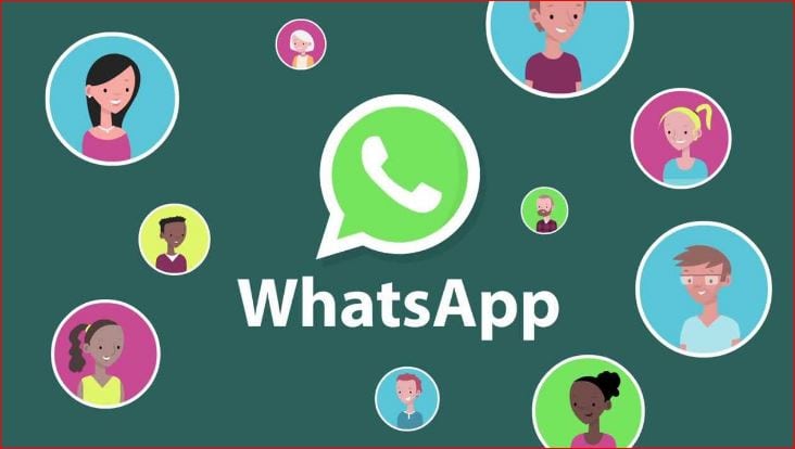 How to set WhatsApp DP without cropping